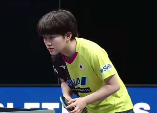 财报披露的 财报披露的